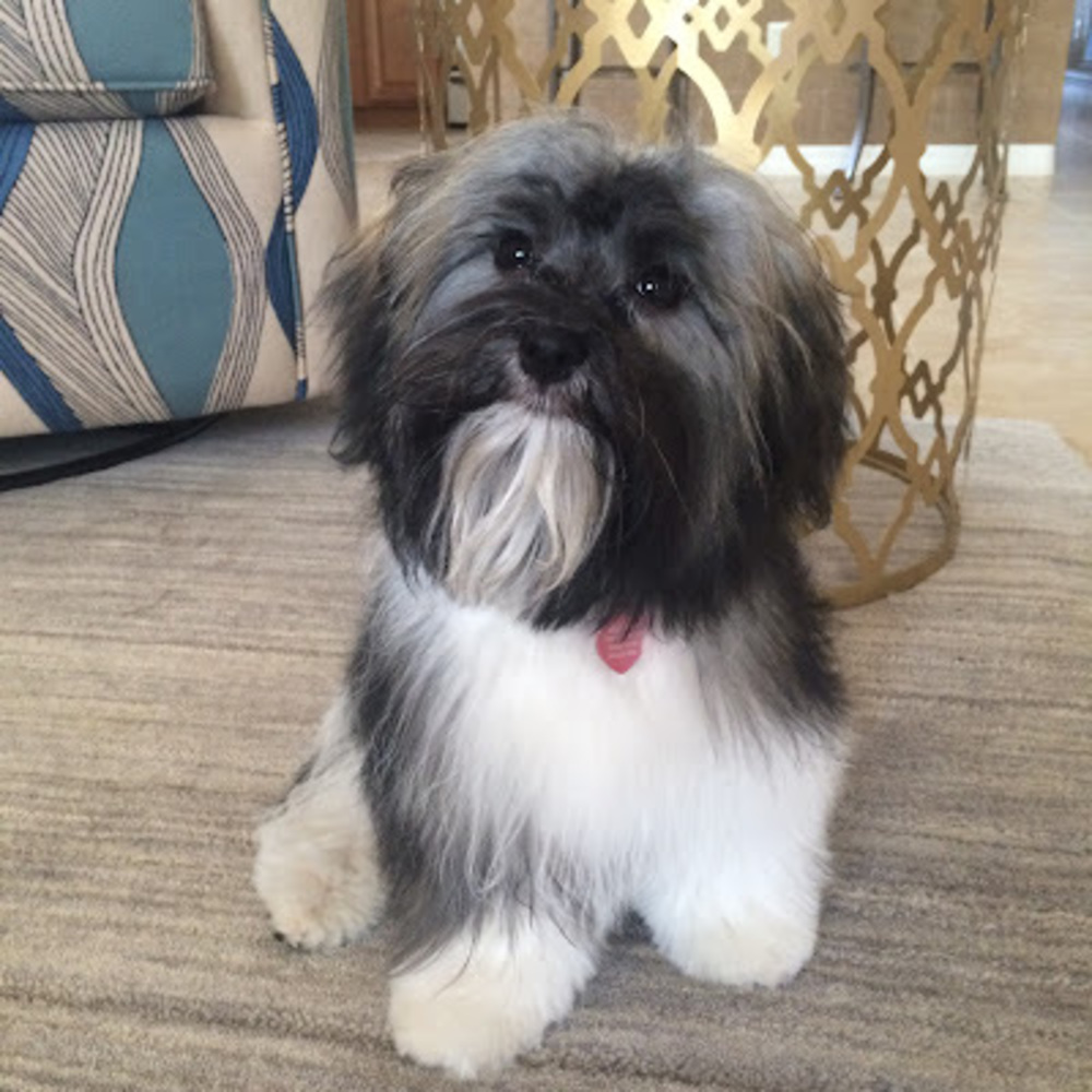 Meet your Posher, Nancy